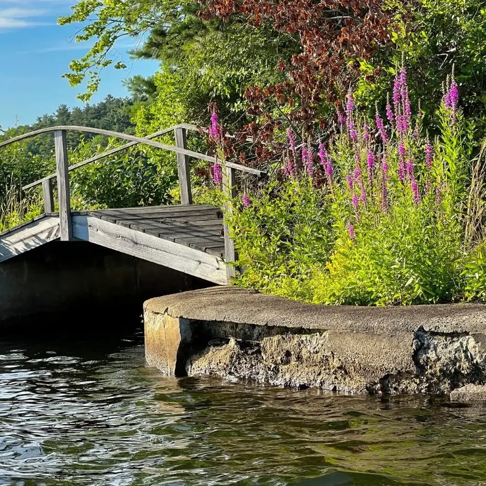A peaceful garden bridge over calm water with colorful flowers.