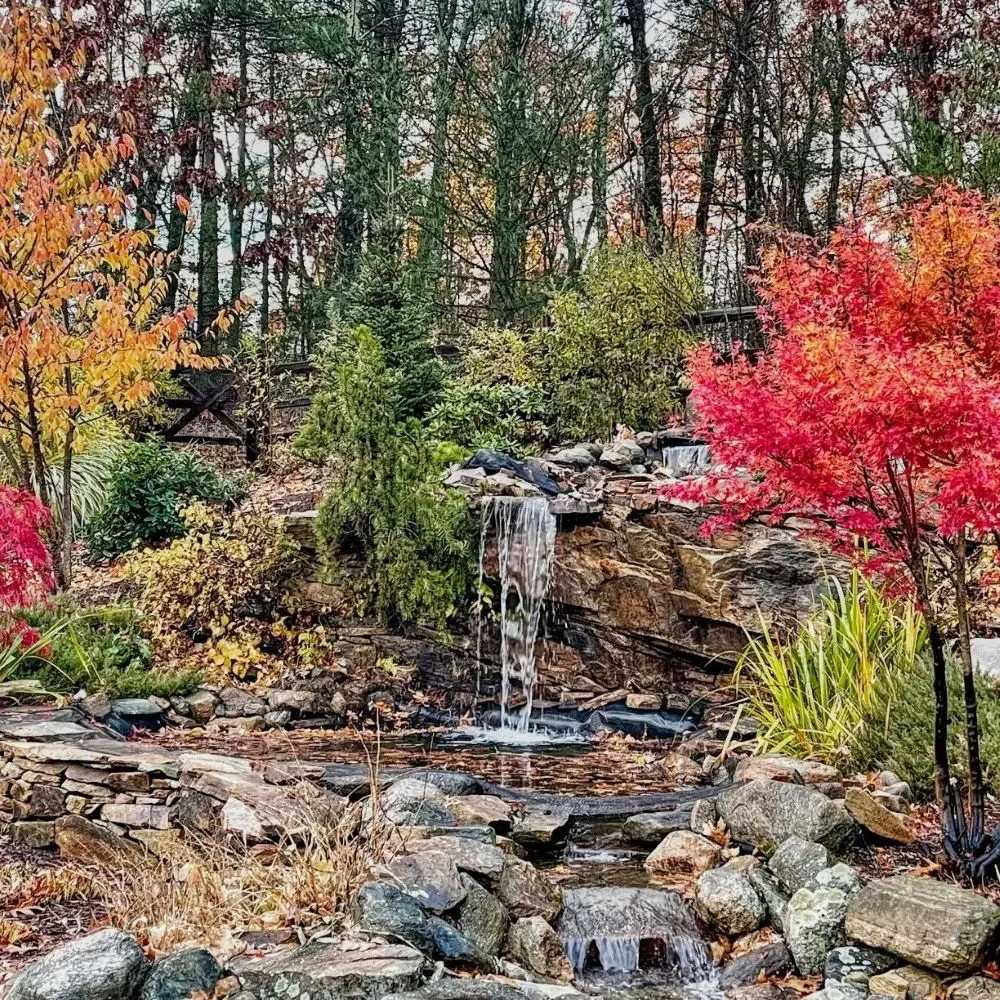 A small waterfall in a forest with vibrant autumn foliage.